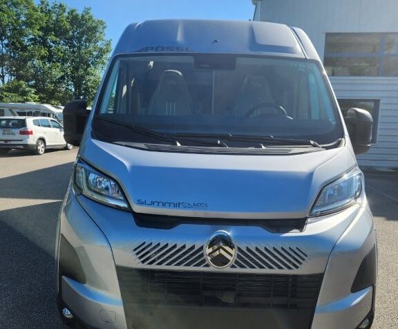 shine600 le gris (31)